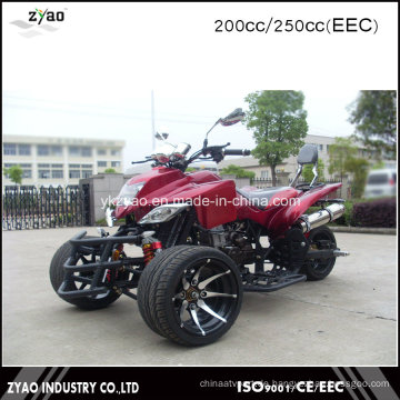 Japanische Quad Bike Sport ATV 250ccm EWG